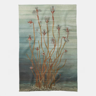 Oscar Schmidt Vintage Marine Biology Sea Print Tea Towel