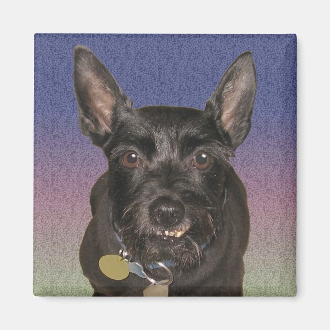 "Oscar" Square Magnet (Front)
