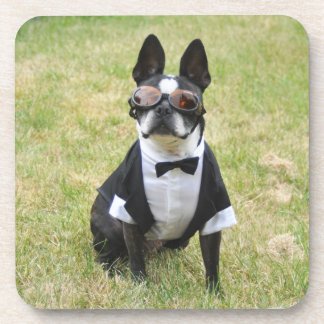 Oscar the Boston Terrier Tuxedo Coasters