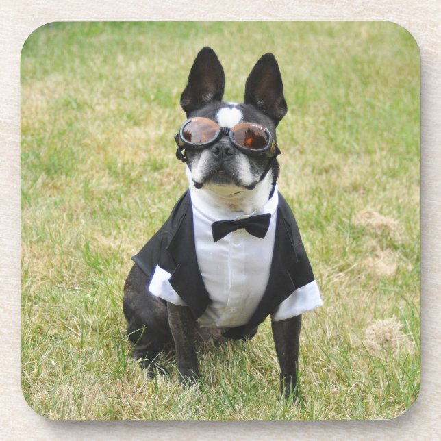 Oscar the Boston Terrier Tuxedo Coasters (Front)