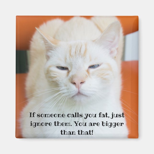 Oscar the Insulting Funny Cat  Magnet (Front)