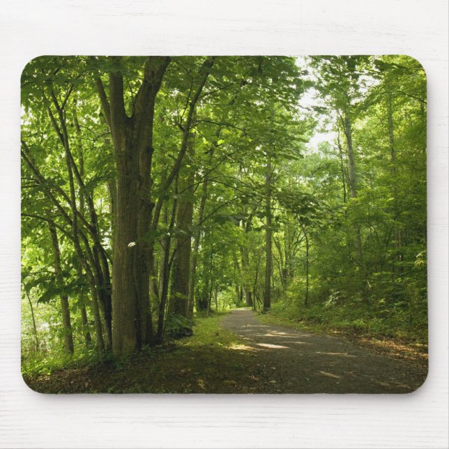 Osceloa Island Weir Dam Bristol Tennessee Mouse Mat (Front)