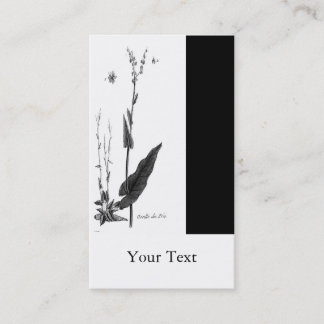 Oseille des Prés Business Card