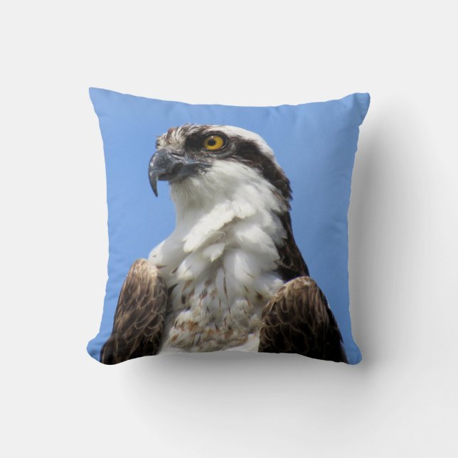 Osprey (4964) Pillow (Front)