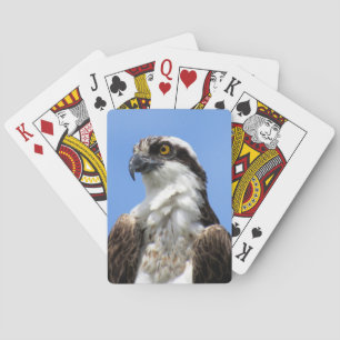 Osprey (4964) Playing Cards