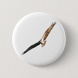 Osprey 6 Cm Round Badge