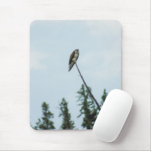Osprey 9028 mouse mat