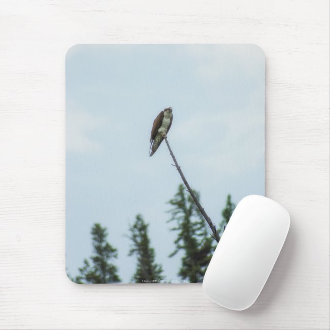 Osprey 9028 mouse mat (With Mouse)