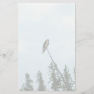 Osprey 9028 stationery