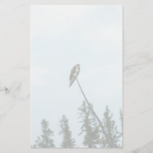 Osprey 9028 stationery (Front)