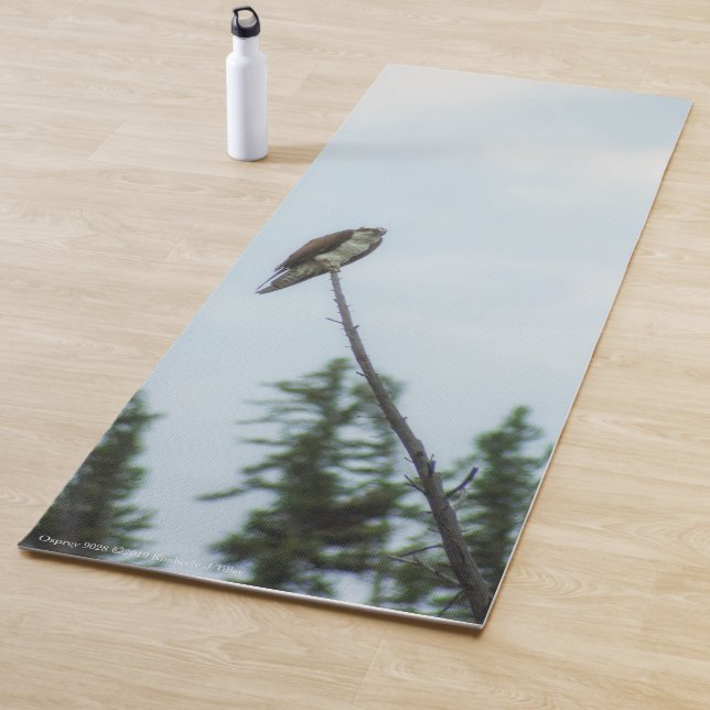 Osprey 9028 yoga mat (In Situ)