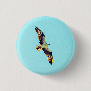 Osprey art 3 cm round badge