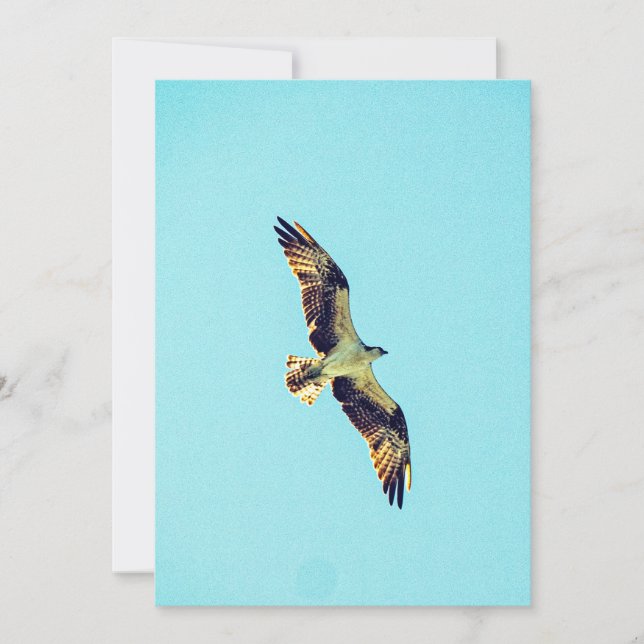 Osprey art invitation (Front)