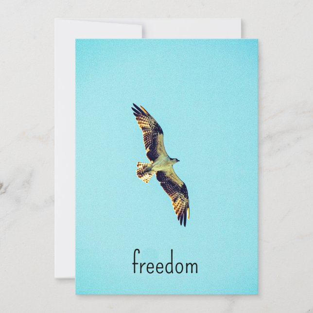 Osprey art thank you card (Front)