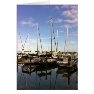 Osprey at the Masthead