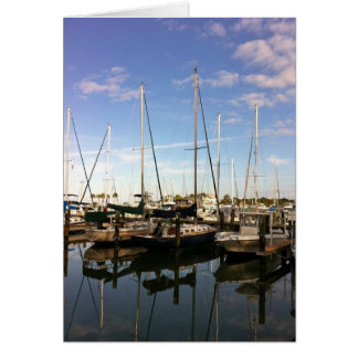 Osprey at the Masthead