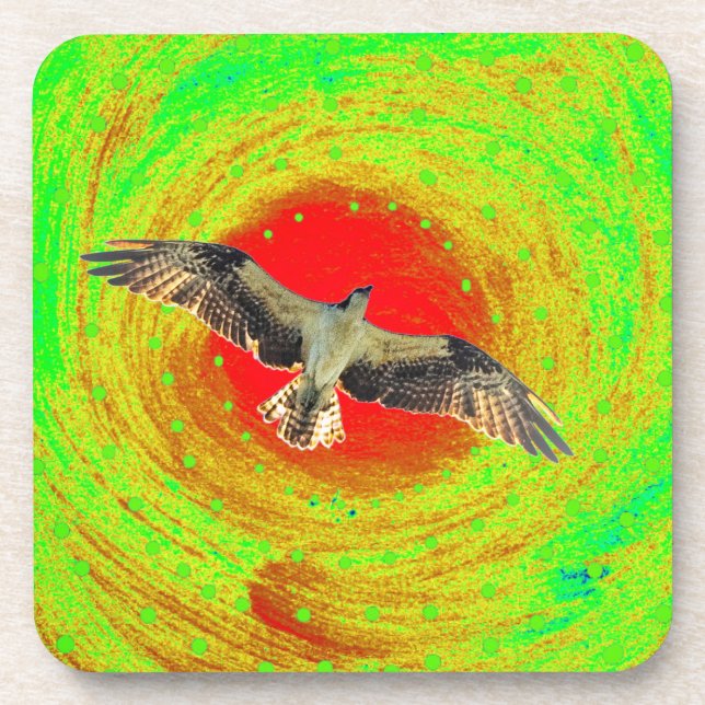 Osprey bird coaster (Front)