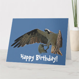 Osprey Bird & Fish Birthday Greeting Card