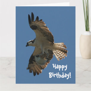 Osprey Bird & Fish Birthday Greeting Card