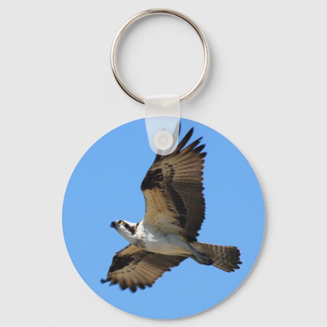 Osprey Bird Keychain (Front)