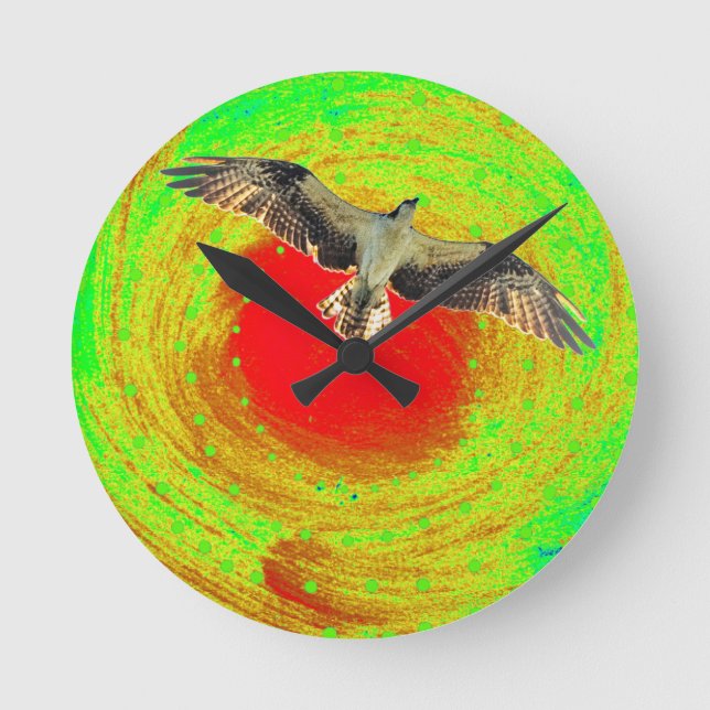 Osprey bird round clock (Front)