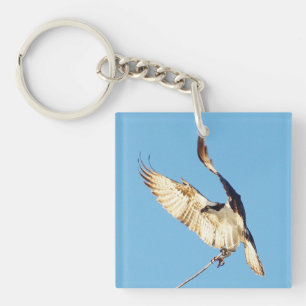 Osprey birds flying Acrylic Keychain