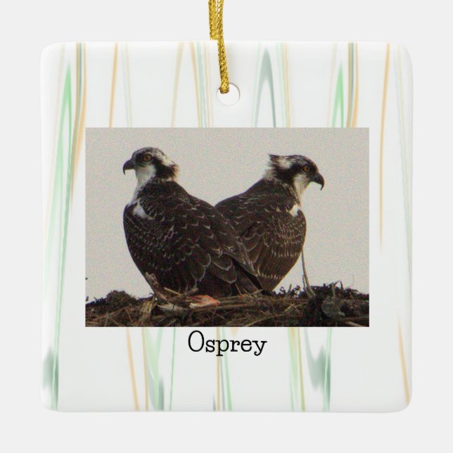 Osprey Birds in Nest Ornament  (Front)