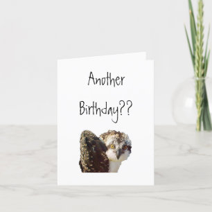 Osprey Birthday Card
