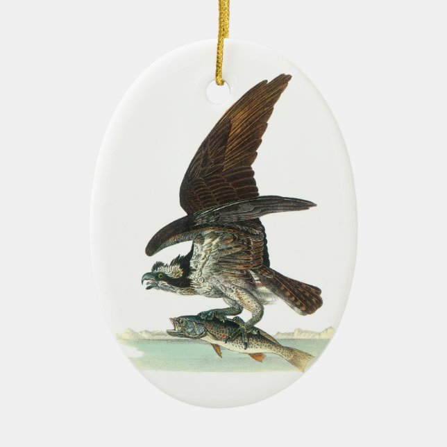 Osprey by Audubon Ceramic Tree Decoration (Front)