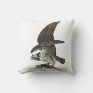 Osprey by Audubon Cushion