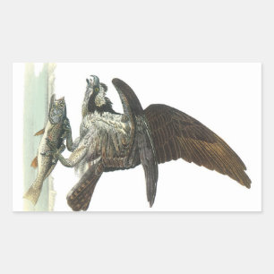 Osprey by Audubon Rectangular Sticker