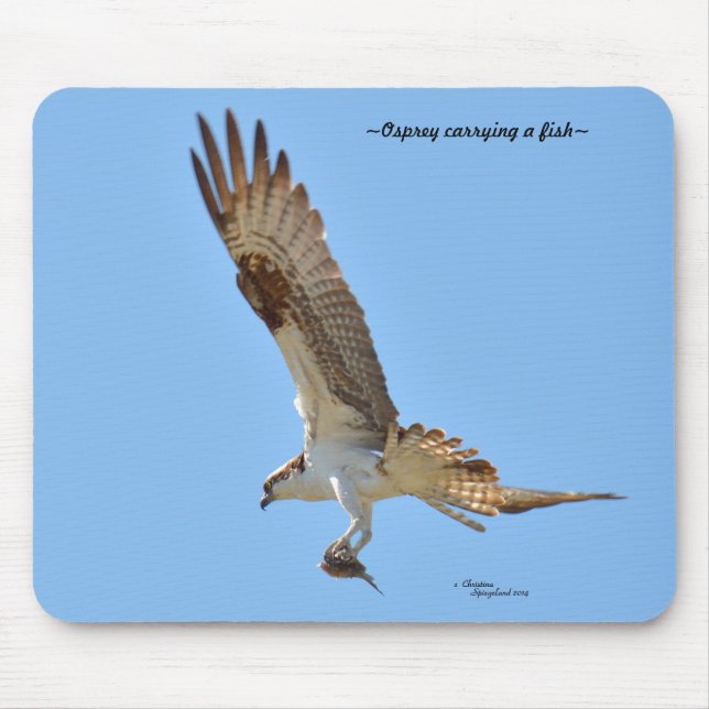 Osprey carrying fish Mousepad (Front)