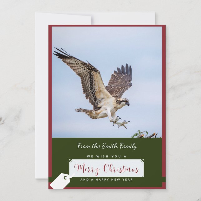 Osprey Christmas Card (Front)