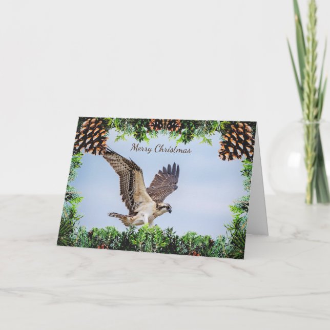 Osprey Christmas Card (Front)