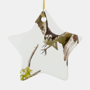 Osprey Coming At You Ceramic Tree Decoration