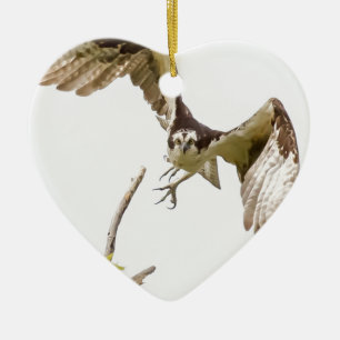Osprey Coming At You Ceramic Tree Decoration