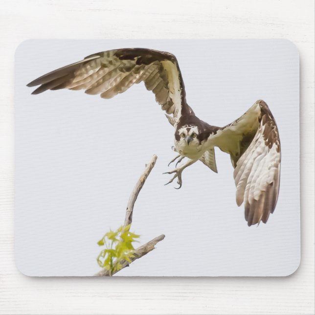 Osprey Coming At You Mouse Mat (Front)