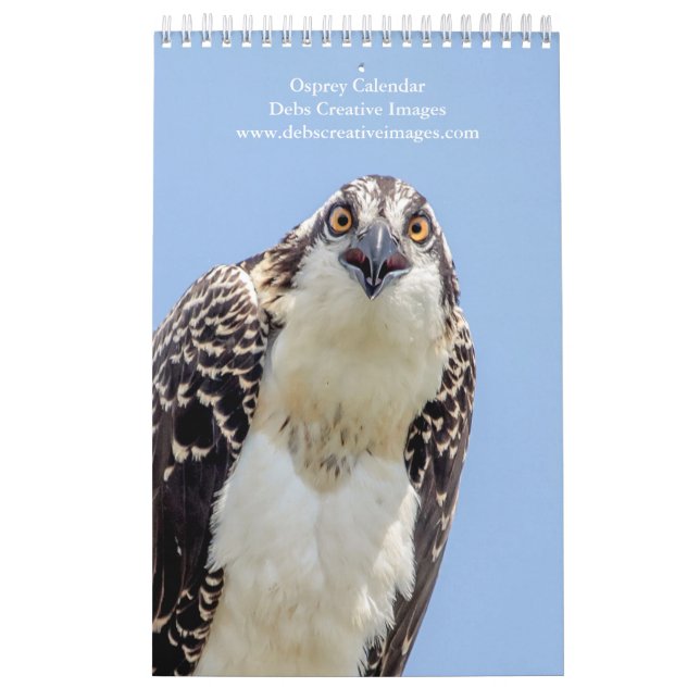 Osprey Family 2026 Calendar (Cover)