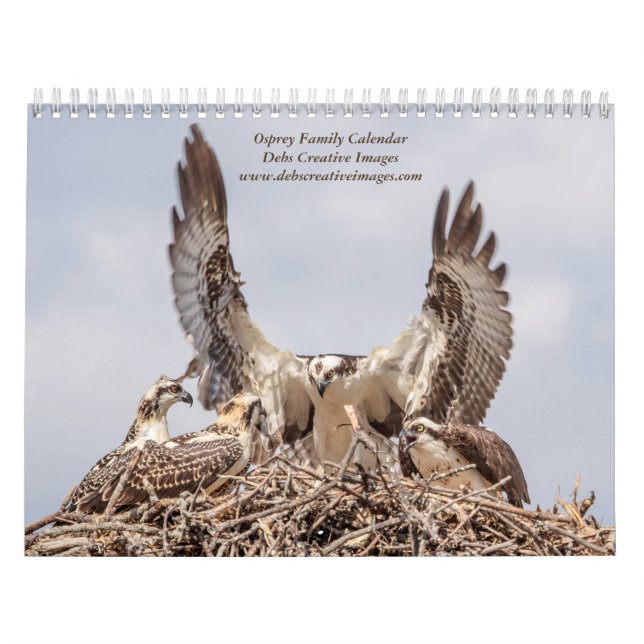 Osprey Family 2026 Calendar (Cover)