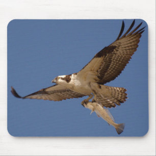 Osprey Fisher Mouse Mat