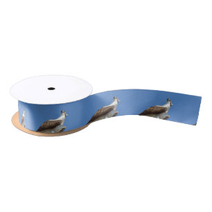 Osprey Hawk bird Ribbon Spool Satin Ribbon