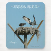 Osprey hawk nest Mousepad