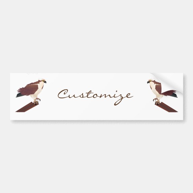 Osprey Hawk Raptor Thunder_Cove Bumper Sticker (Front)