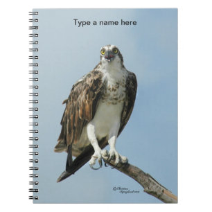 Osprey Hawk singing Notebook