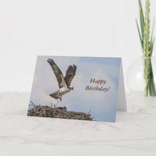 Osprey in a nest card