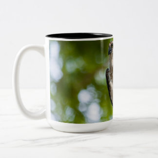 Osprey in Colorado Two-Tone Coffee Mug