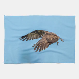 Osprey in flight at Honeymoon Island State Park Tea Towel