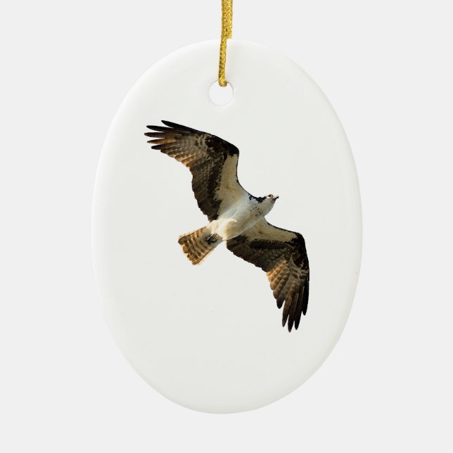 Osprey in Flight Logo Ceramic Tree Decoration (Front)