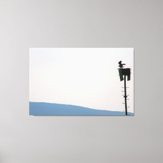 Osprey in Front of Mount Desert Island, Maine Canvas Print