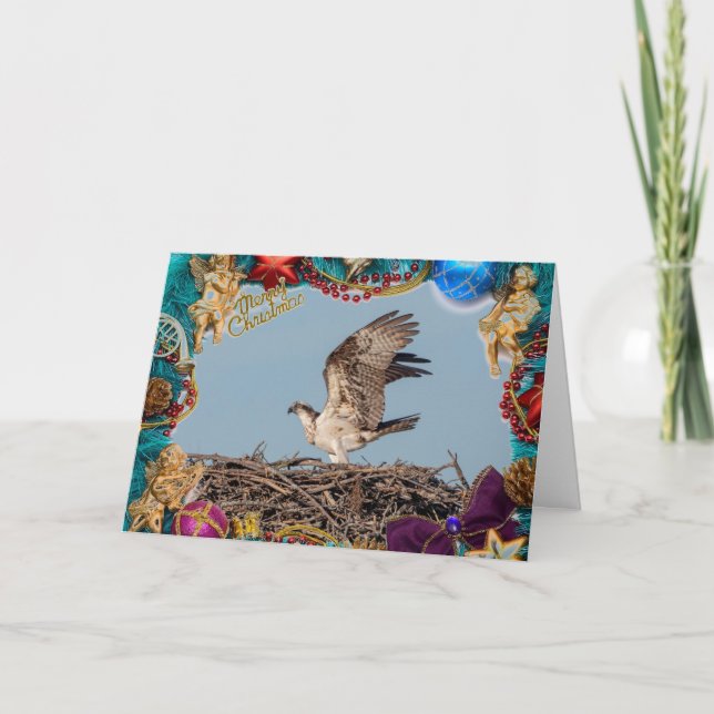 Osprey in the nest on a Christmas Card (Front)